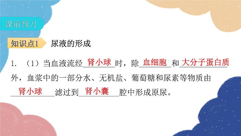 北师大版生物七年级下册 第11章 第2节 尿的形成与排出第2课时 课件04