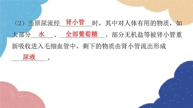 北师大版生物七年级下册 第11章 第2节 尿的形成与排出第2课时 课件05