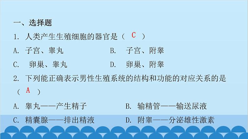 人教版生物七年级下册 第一章 第二节 人的生殖(课件)02