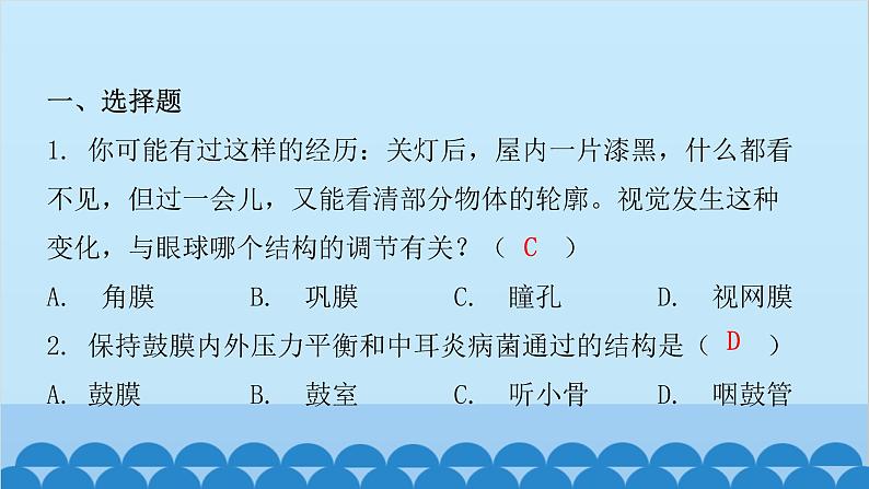 人教版生物七年级下册 第六章 第一节 人体对外界环境的感知(课件)02