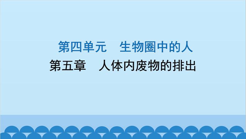 人教版生物七年级下册 第五章 人体内废物的排出-(课件)第1页