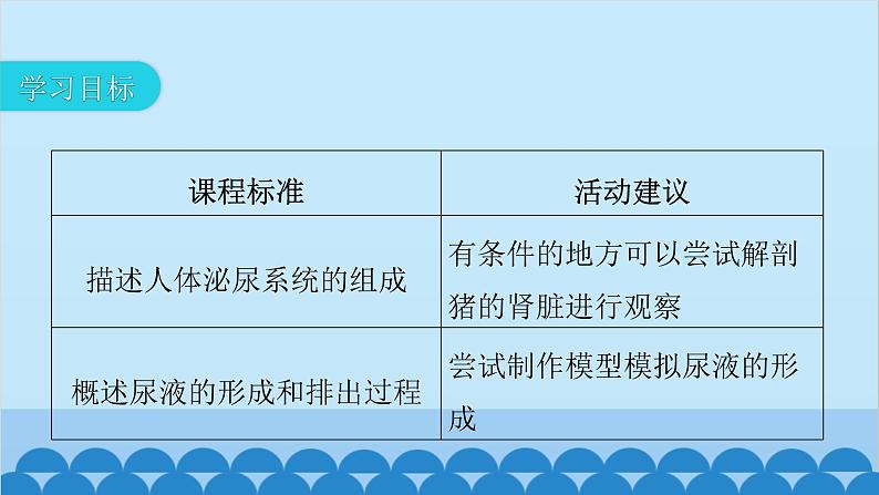 人教版生物七年级下册 第五章 人体内废物的排出-(课件)第3页