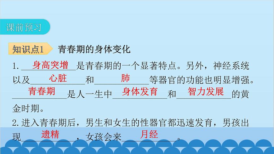 人教版生物七年級(jí)下冊(cè) 第一章 第三節(jié) 青春期-(課件)第4頁(yè)