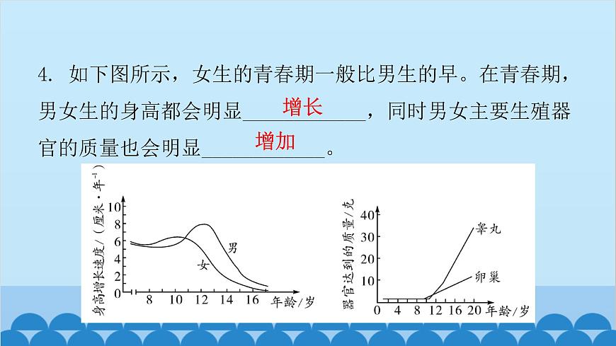人教版生物七年級(jí)下冊(cè) 第一章 第三節(jié) 青春期-(課件)第6頁(yè)