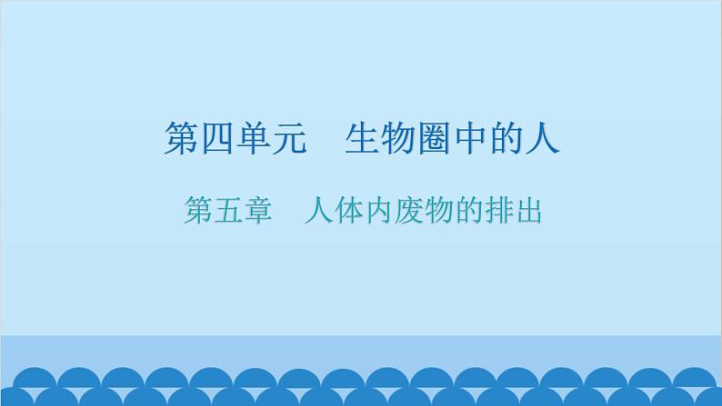 人教版生物七年级下册 第五章 人体内废物的排出(课件)01