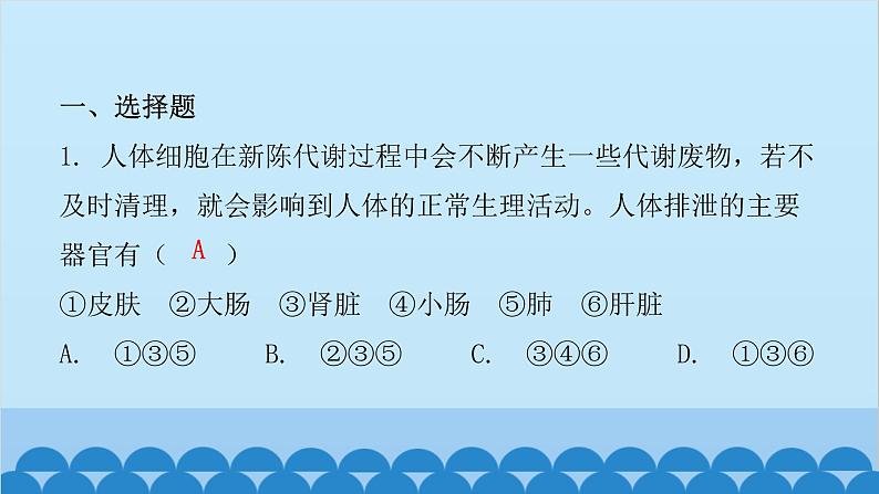 人教版生物七年级下册 第五章 人体内废物的排出(课件)02