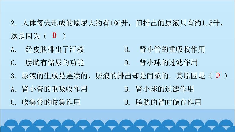 人教版生物七年级下册 第五章 人体内废物的排出(课件)03