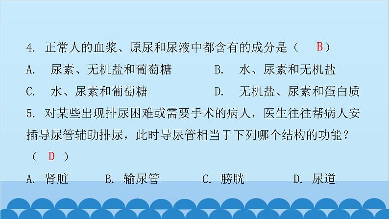人教版生物七年级下册 第五章 人体内废物的排出(课件)04