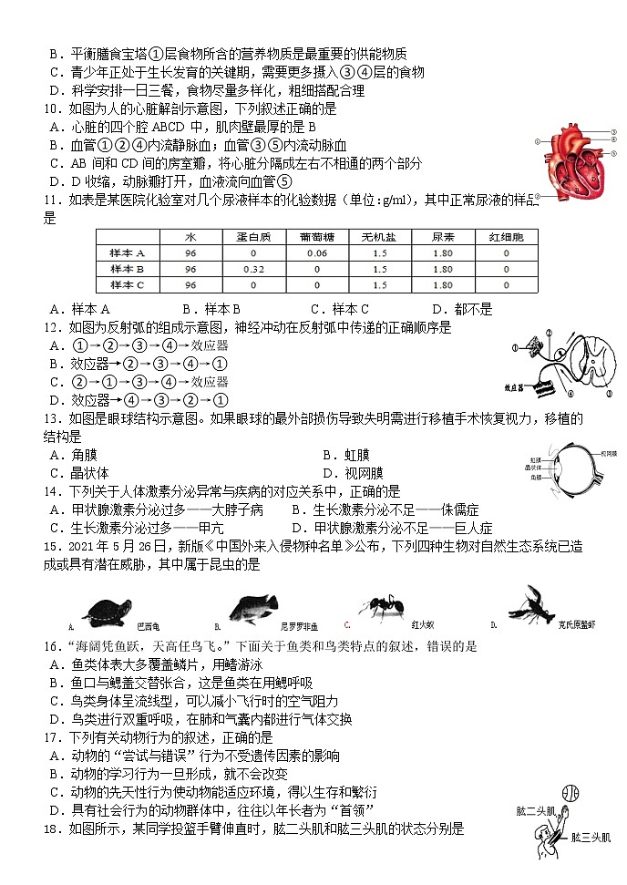 山东省临沂市费县2022年初中学生学业水平模拟考试生物试题(无答案)第2页
