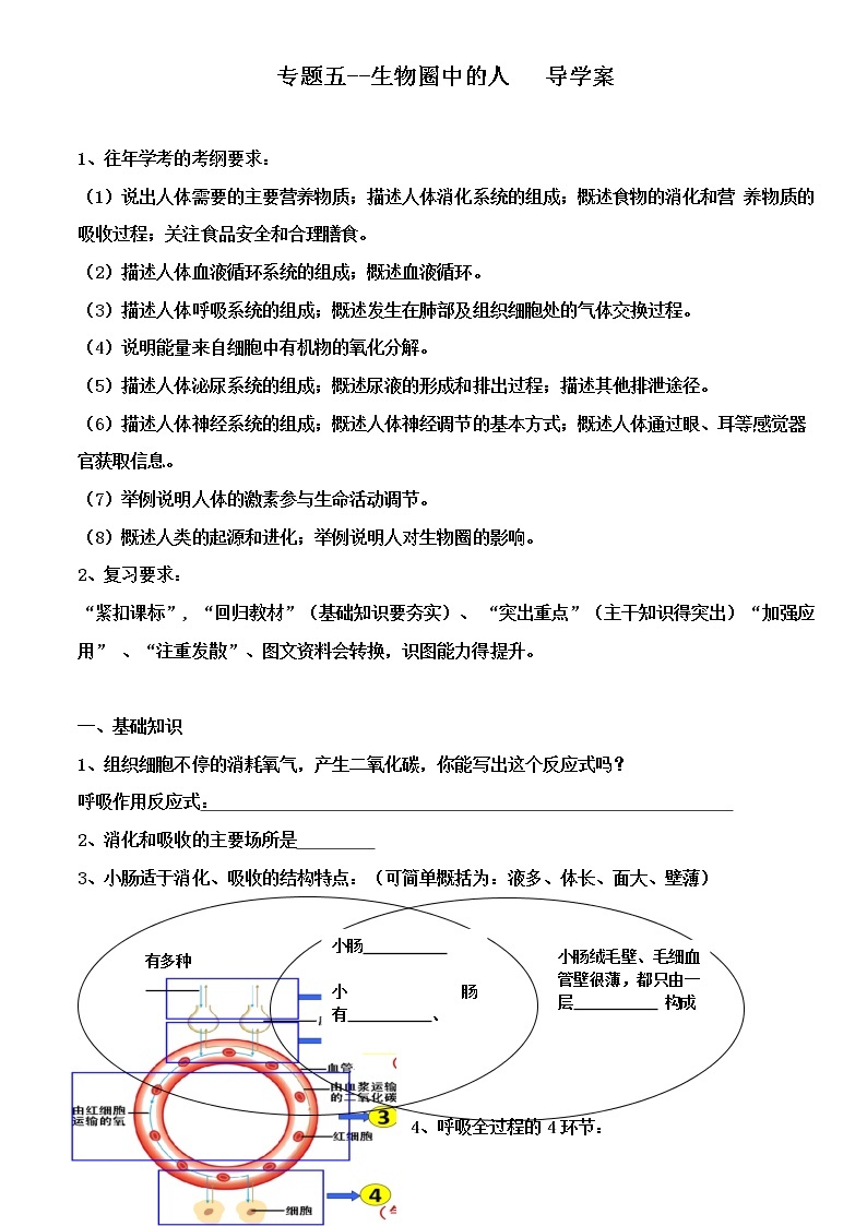 生物中考复习：专题五--生物圈中的人导学案和答案01