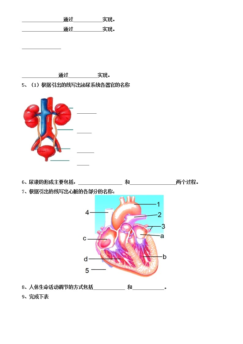 生物中考复习：专题五--生物圈中的人导学案和答案02