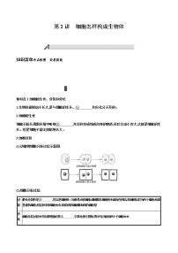 第二单元　生物体的结构层次+第2讲+细胞怎样构成生物体+讲义+2022年中考生物总复习教案