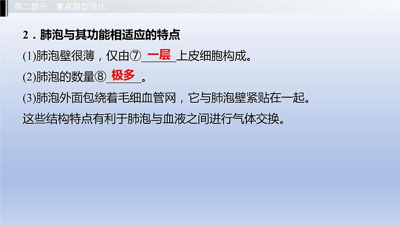 第二单元我们的身体与健康地生活第三章 健肺强肾 精力充沛课件2021年广西中考生物基础复习第5页