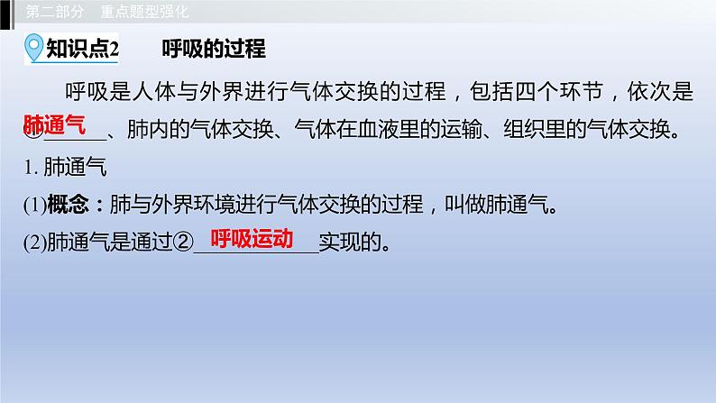 第二单元我们的身体与健康地生活第三章 健肺强肾 精力充沛课件2021年广西中考生物基础复习第6页