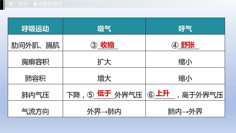第二单元我们的身体与健康地生活第三章 健肺强肾 精力充沛课件2021年广西中考生物基础复习第7页