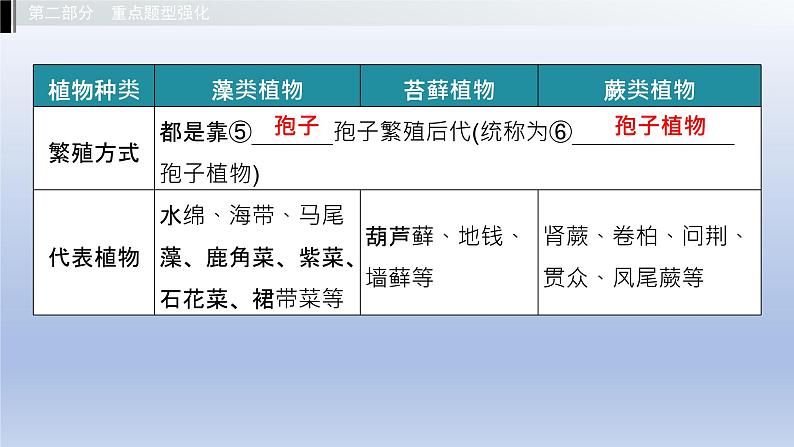 第一单元我们身边的生命世界第三章形形色色的植物课件2021年广西中考生物基础复习04
