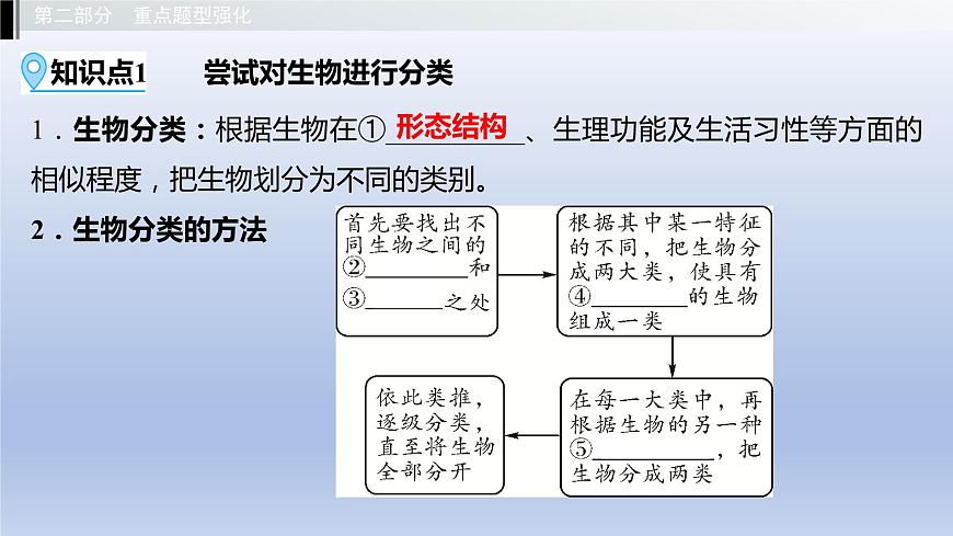 第一單元我們身邊的生命世界第五章生物的分類和鑒別課件2021年廣西中考生物基礎(chǔ)復(fù)習(xí)第3頁