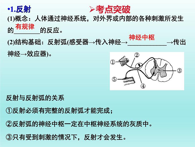 2022年中考生物专题复习课件:人体生命活动的调节(二)03