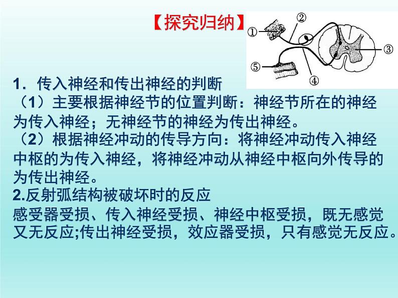 2022年中考生物专题复习课件:人体生命活动的调节(二)04