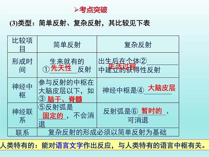 2022年中考生物专题复习课件:人体生命活动的调节(二)05