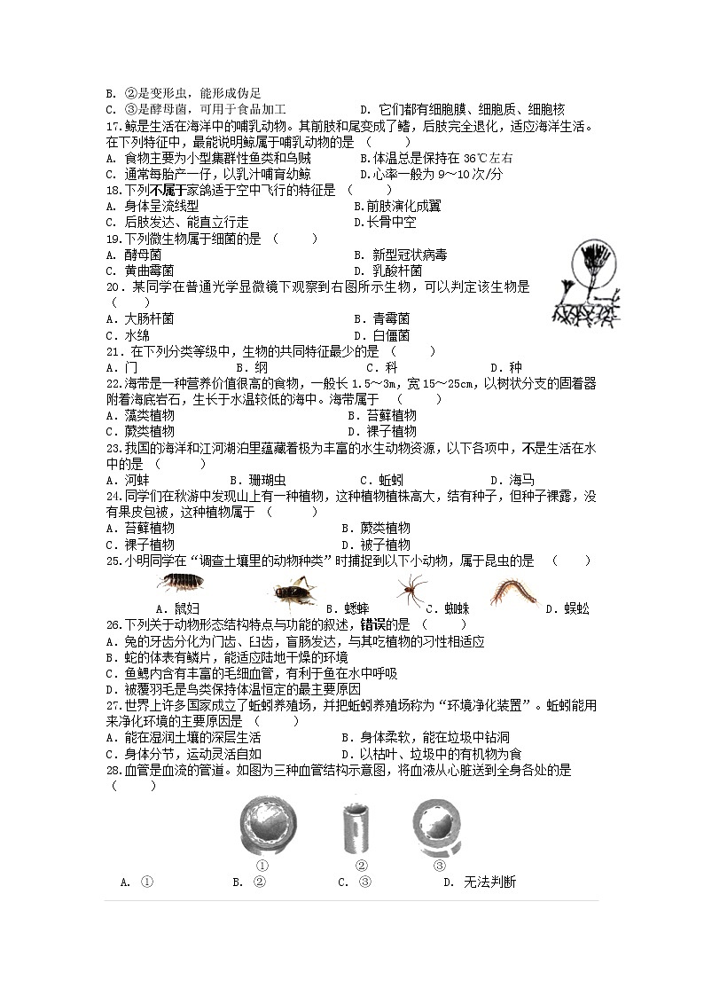 2022年江苏省江阴市学业水平模拟考试生物试题03