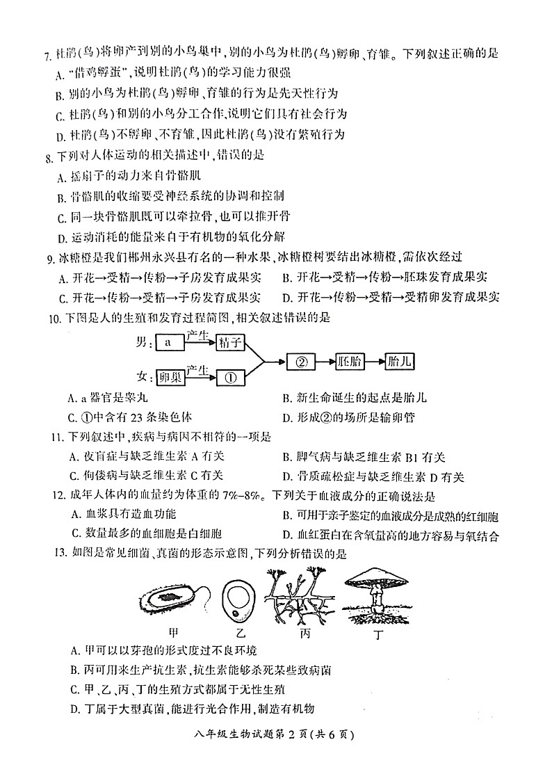 2022郴州市初中学业水平考试质量监测初中生物试卷第2页
