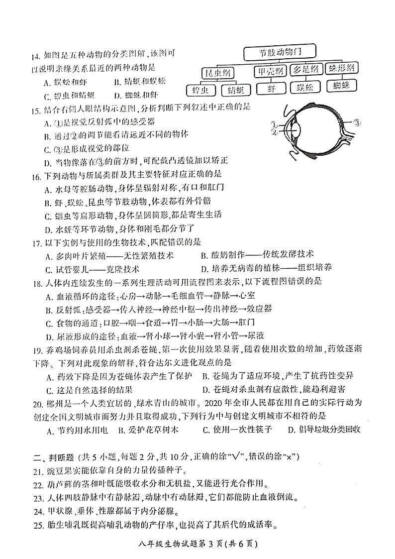 2022郴州市初中学业水平考试质量监测初中生物试卷第3页