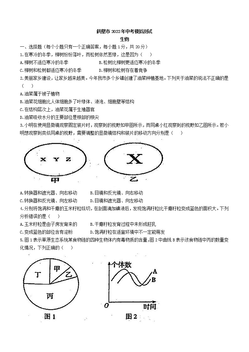 2022年河南省鹤壁市八年级中考一模生物试题(word版含答案)第1页