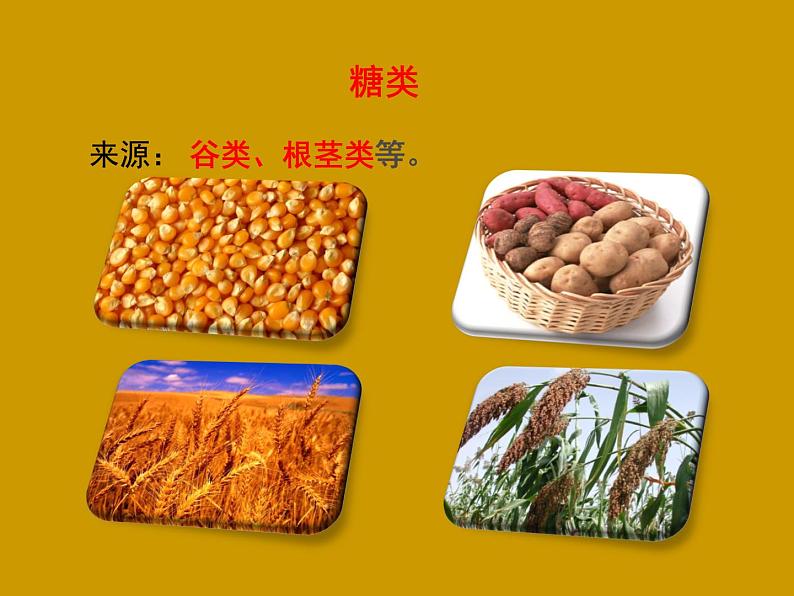 济南版七年级下册生物 1.1食物的营养成分 课件第8页