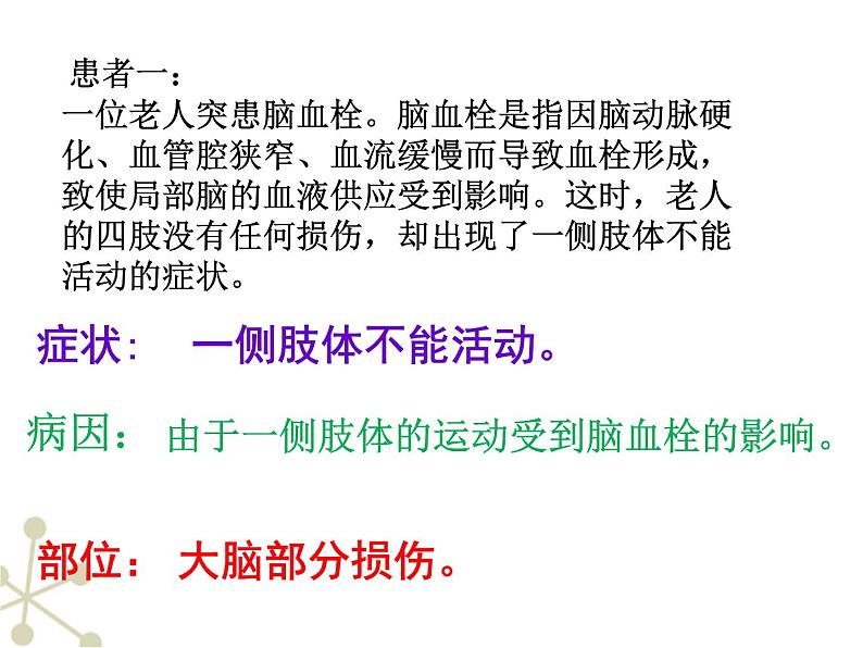 冀教版七年级下册生物 4.2.1传递信息的神经系统 课件04