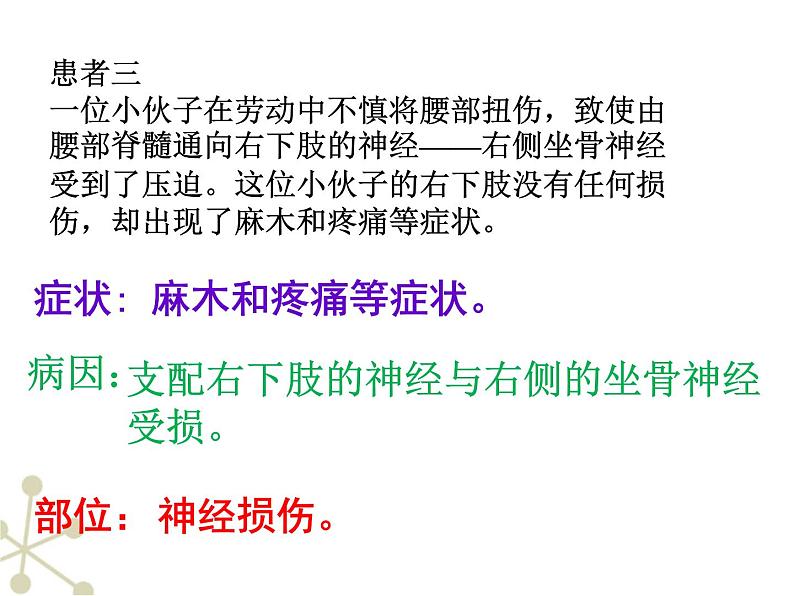 冀教版七年级下册生物 4.2.1传递信息的神经系统 课件06