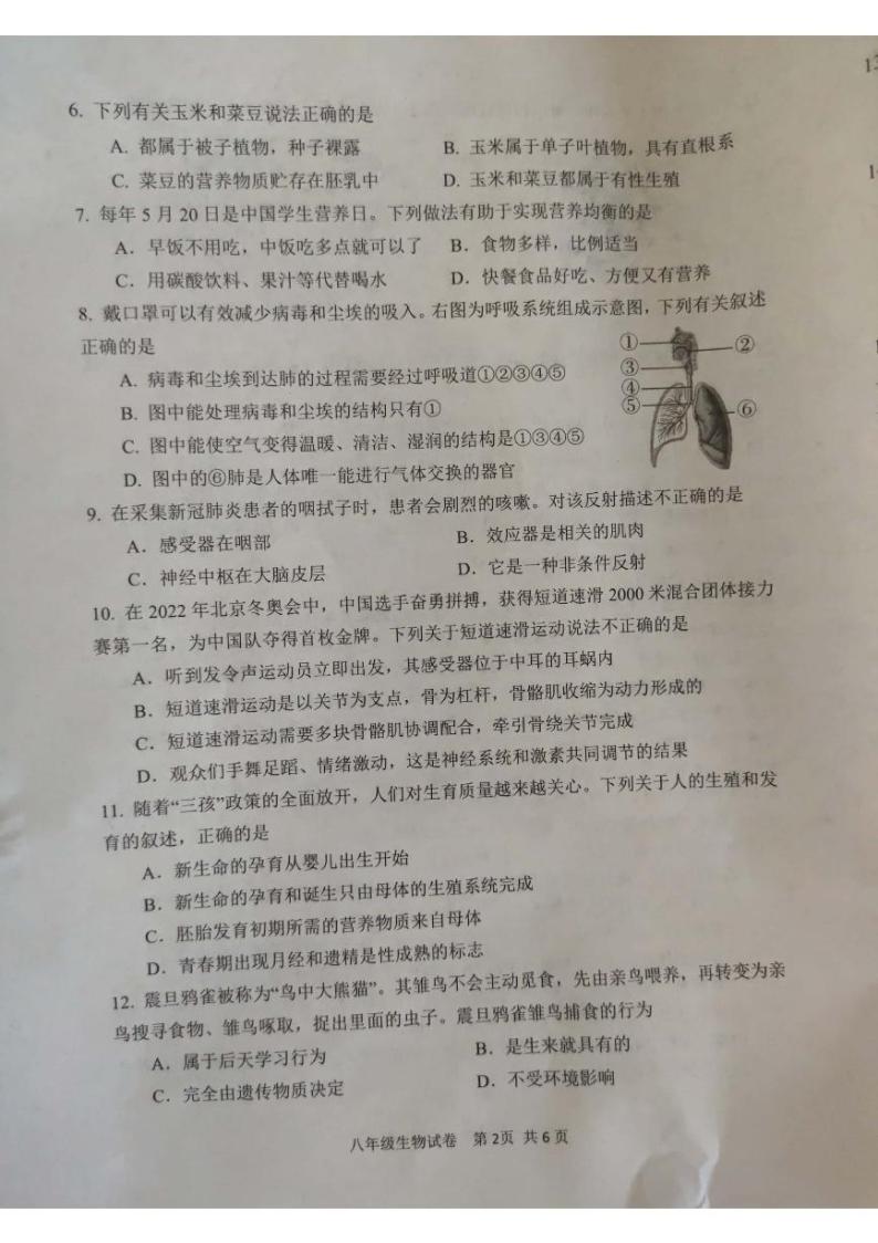 2022年河南省安阳市中考模拟考试一（一模）生物试题（有答案）02