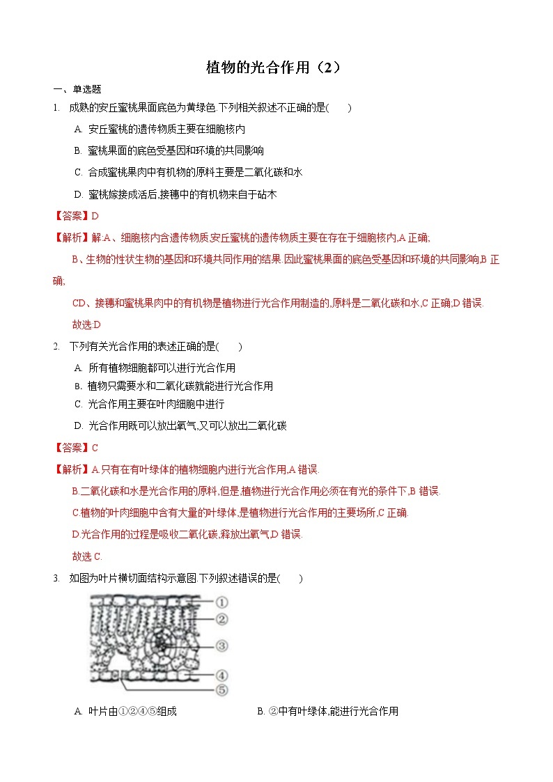 4.1 植物的光合作用 第2课时-七年级生物上册 课件+练习（苏科版）01