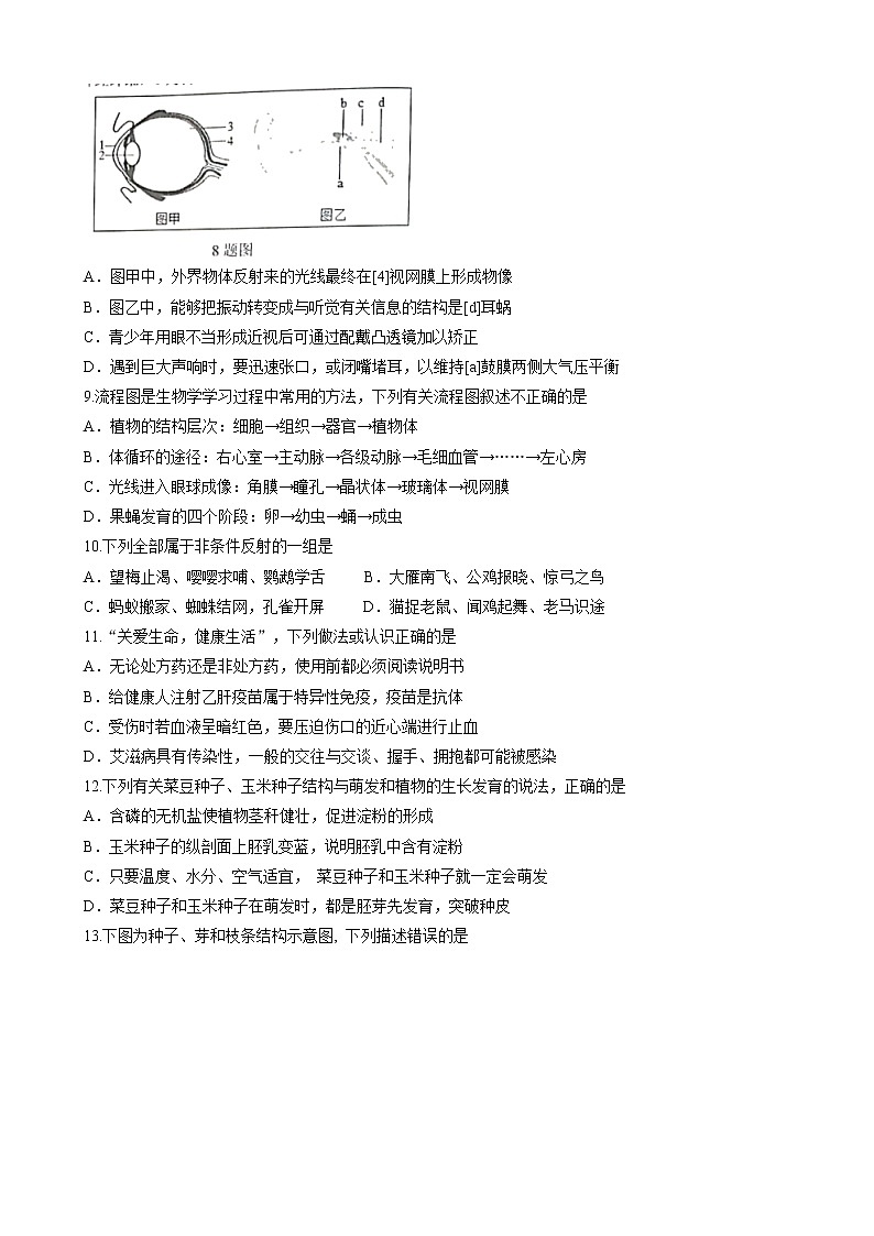 2022年山东省菏泽市东明县中考三模生物试题(含答案)03