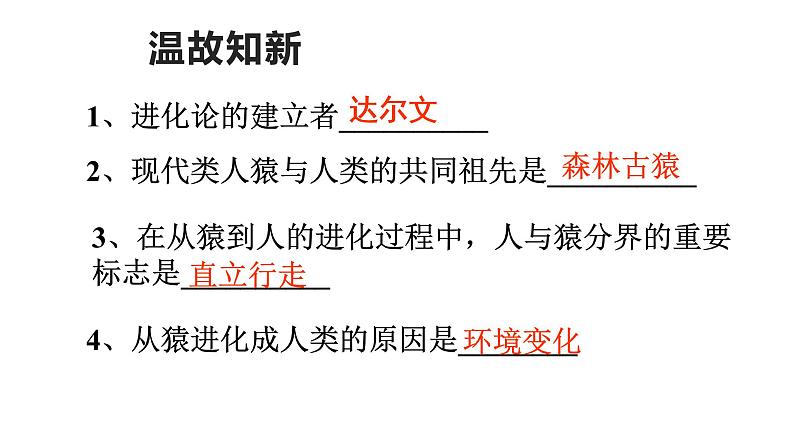 4.1.2人的生殖课件2021-2022学年人教版 生物七年级下册第2页