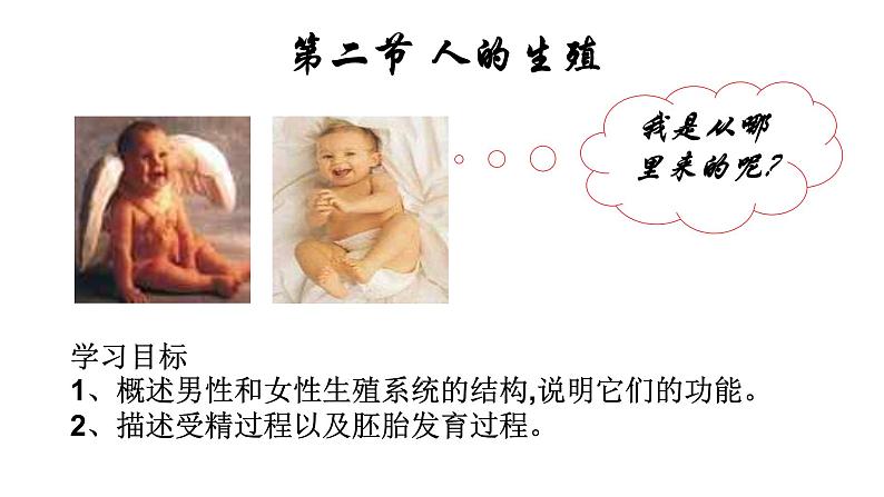 4.1.2人的生殖课件2021-2022学年人教版 生物七年级下册第4页