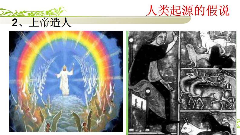 4.1.1人的起源和发展课件2021--2022学年人教版生物七年级下册第5页