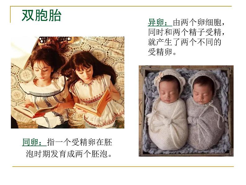 4.1.3青春期课件2021-- 2022学年人教版生物七年级下册第1页
