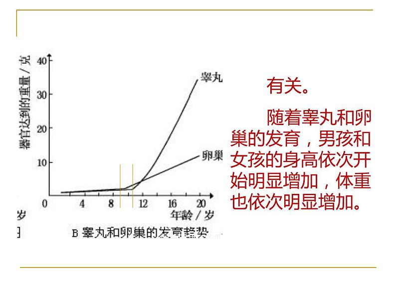 4.1.3青春期课件2021-- 2022学年人教版生物七年级下册第6页