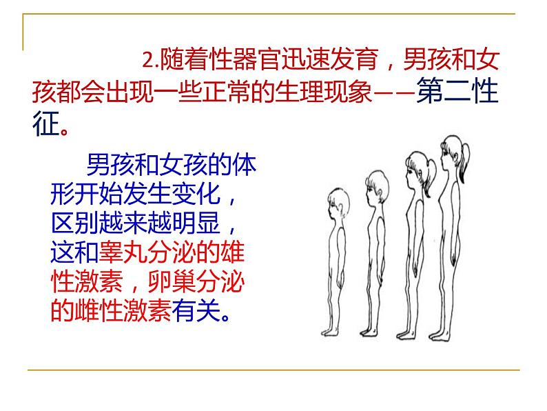 4.1.3青春期课件2021-- 2022学年人教版生物七年级下册第7页