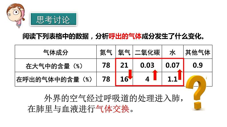 4.3.2发生在肺内的气体交换课件2021--2022学年人教版生物七年级下册第2页