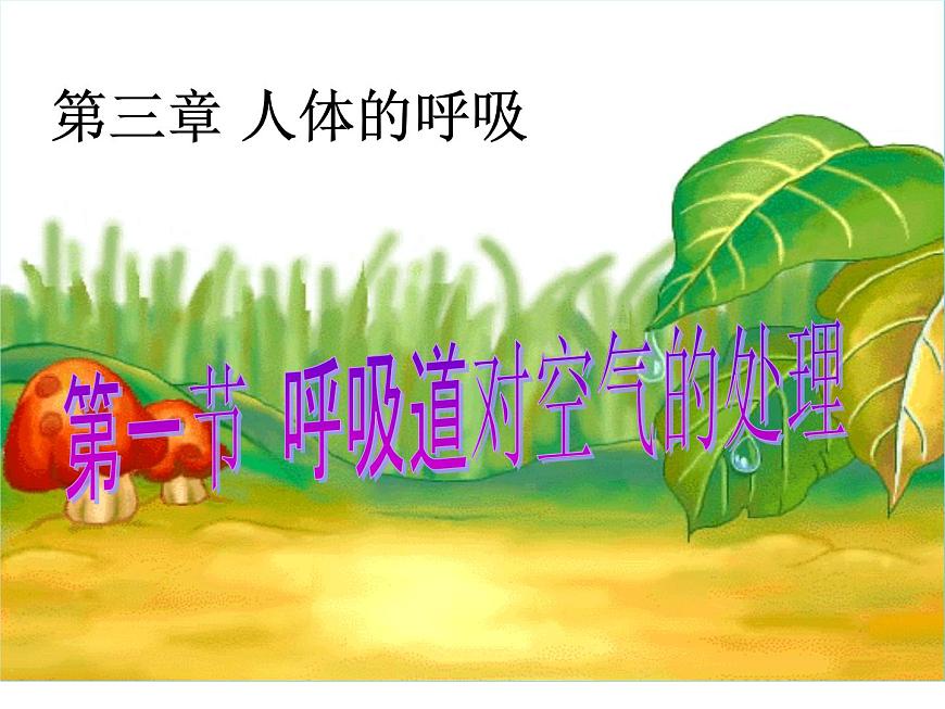 4.3.1呼吸道對(duì)空氣的處理課件2021--2022學(xué)年人教版七年級(jí)下冊(cè)生物第1頁(yè)