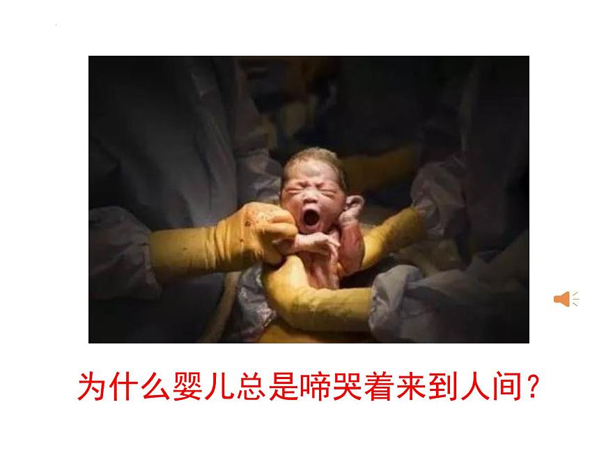 4.3.1呼吸道對(duì)空氣的處理課件2021--2022學(xué)年人教版七年級(jí)下冊(cè)生物第2頁(yè)