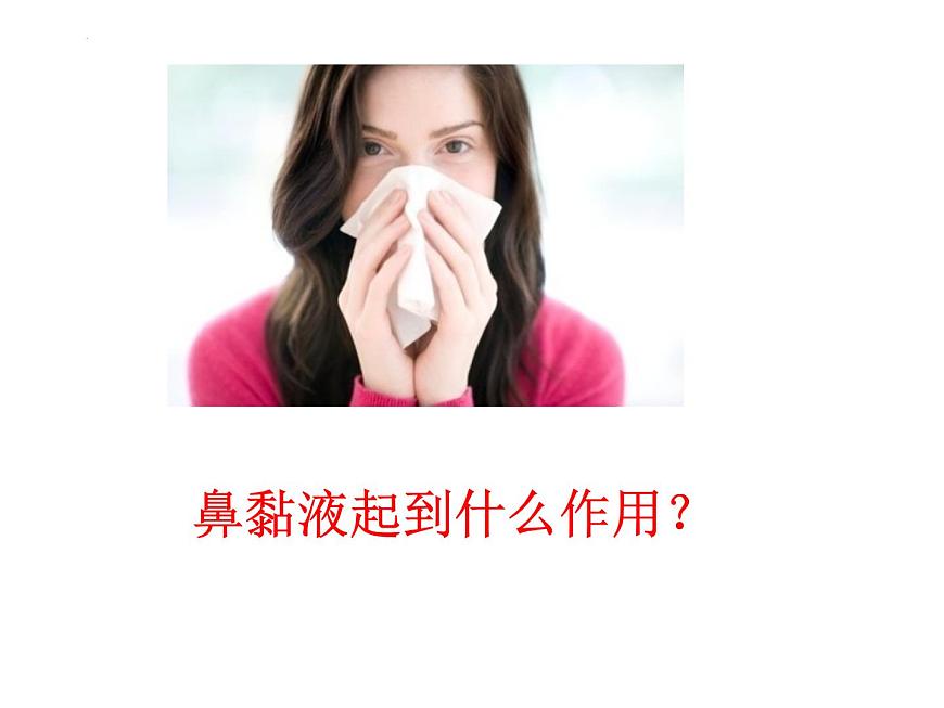 4.3.1呼吸道對(duì)空氣的處理課件2021--2022學(xué)年人教版七年級(jí)下冊(cè)生物第7頁(yè)