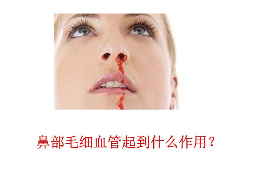 4.3.1呼吸道對(duì)空氣的處理課件2021--2022學(xué)年人教版七年級(jí)下冊(cè)生物第8頁(yè)
