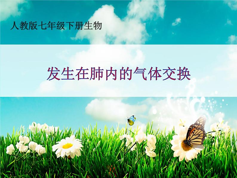 4.3.2发生在肺内的气体交换课件(第一课时)2021--2022学年人教版生物七年级下册第1页