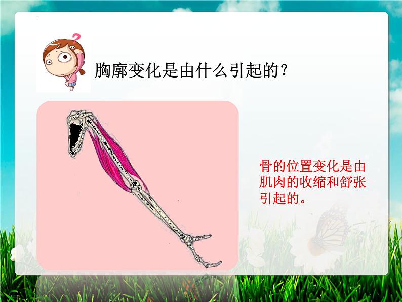 4.3.2发生在肺内的气体交换课件(第一课时)2021--2022学年人教版生物七年级下册第7页
