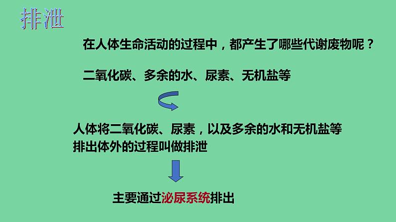 4.5人体内废物的排出课件2021---2022学年人教版生物七年级下册第2页