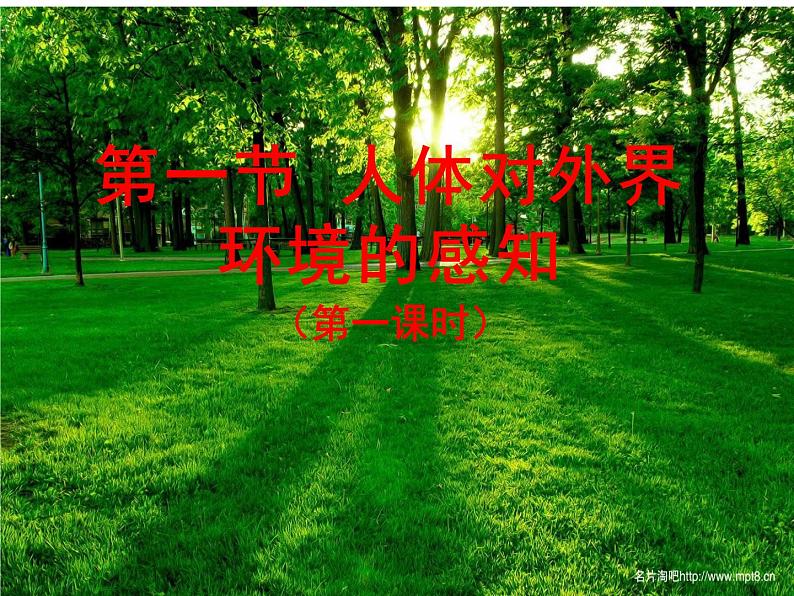 4.6.1人体对外界环境的感知课件2021--2022学年人教版七年级生物下册第1页