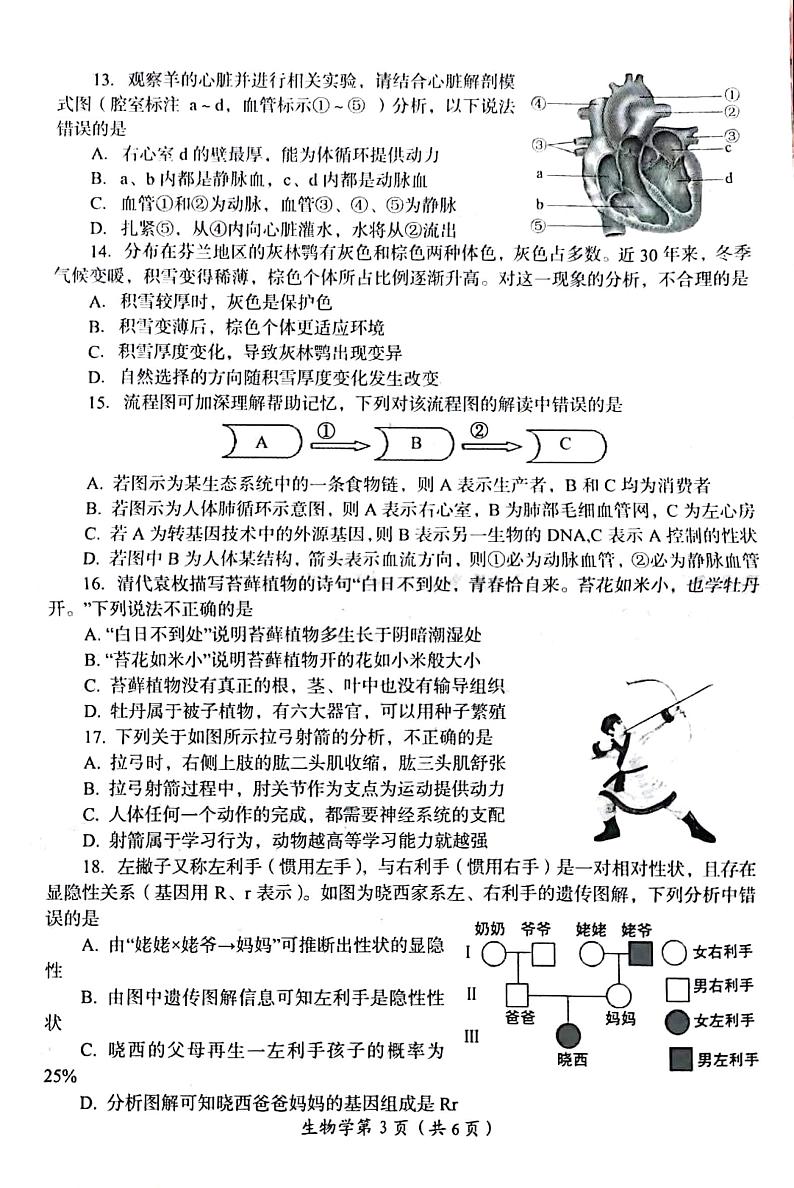 2022河南省洛阳市初三二模生物试卷无答案03